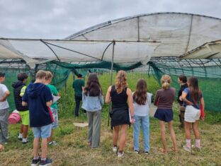 VISITE DE LA FERME DE KERAUGANT VISITE DE LA FERME DE KERAUGANT